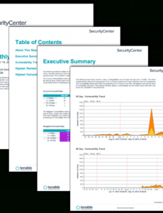 monthly executive report  sc report template  tenable® security monthly report template excel