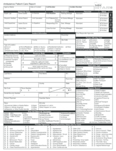 editable patient care report  fill out and sign printable pdf template  signnow emt patient care report template sample