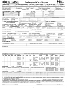 free patient care report template doc  fill online printable emt patient care report template word