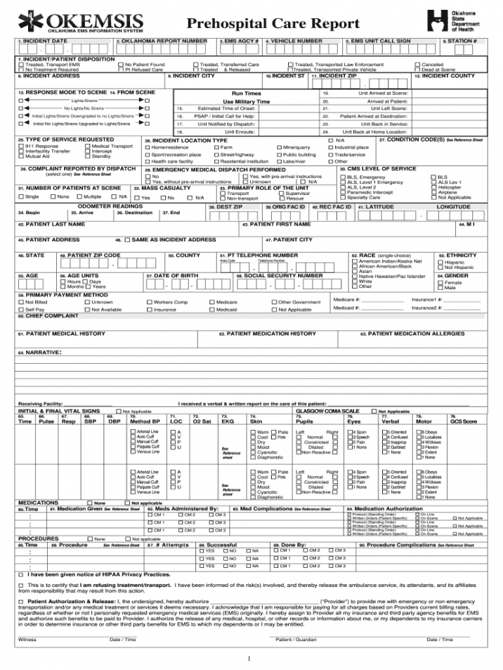 free patient care report template doc  fill online printable emt patient care report template word