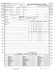 patient care report examples  fill out and sign printable pdf template   signnow emt patient care report template sample