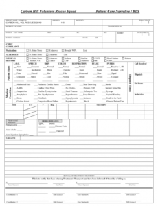 printable ems pcr template  fill online printable fillable blank ems incident report template