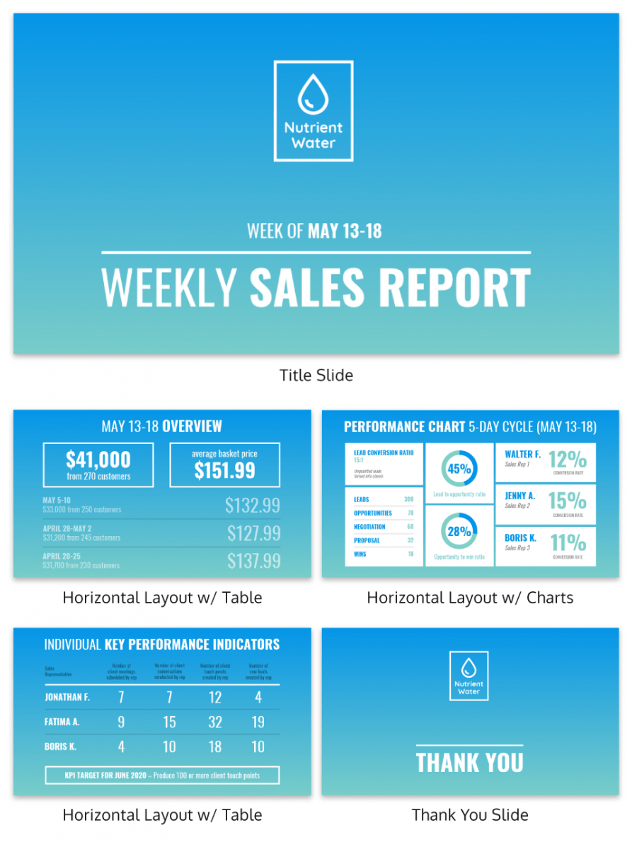 Weekly Sales Update Template