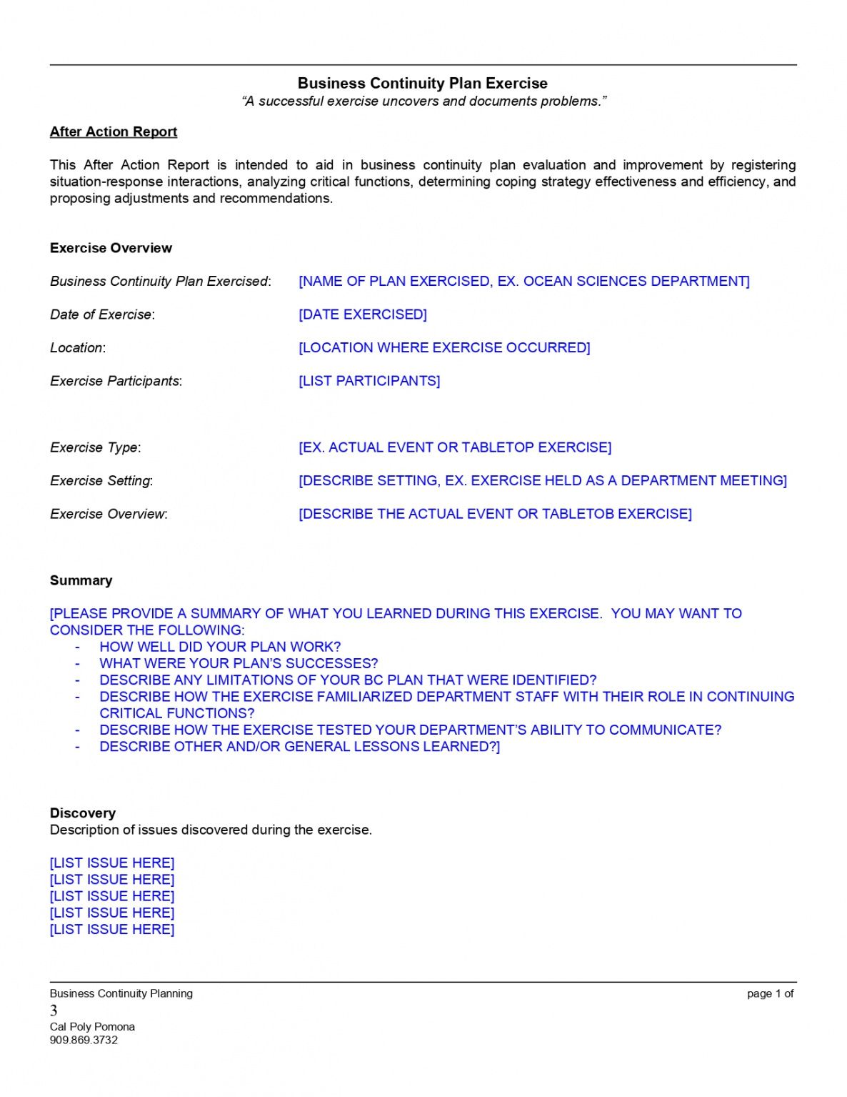 free after action report template 2 business after action report template sample