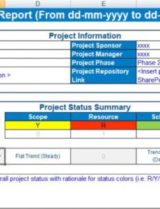 free project status report template excel  free excel program status report template doc