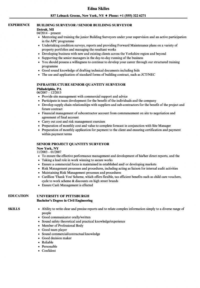 free surveyor senior resume samples  velvet jobs surveyors report template