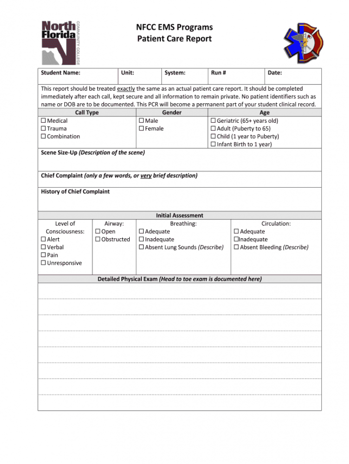 patient care report template doc  fill out and sign printable pdf template   signnow patient care report narrative template excel