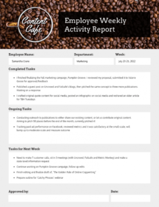 printable employee weekly status report employee weekly report template sample