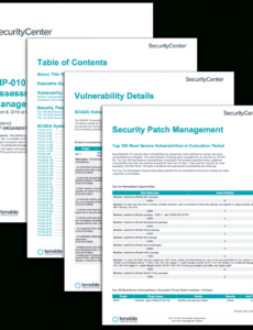 sample cip010 r3 vulnerability assessment and patch management vulnerability assessment report template pdf