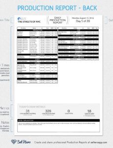 dailyproductionreporttemplateexamplebackmedium  sethero daily production report template word