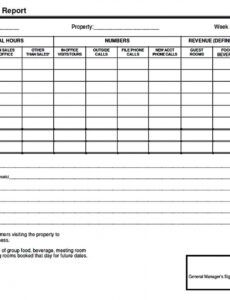 editable activity report template  welding rodeo designer sales activity report template example