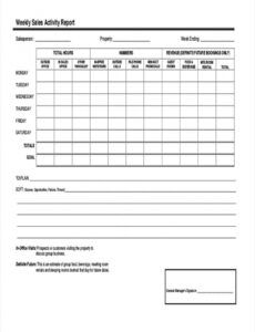 editable free 22 sales report forms in pdf  ms word sales activity report template excel