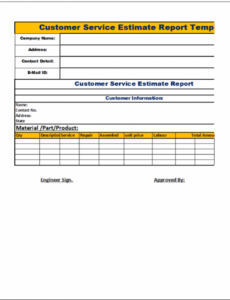 Best Customer Service Report Template Doc Example