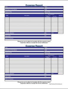 Consultant Expense Report Template Doc