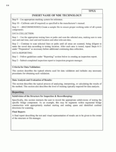 Costum Borescope Inspection Report Template  Example