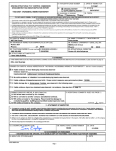 Costum Mold Inspection Report Template Word Example