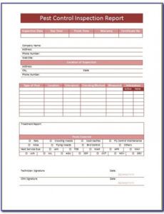 Costum Termite Inspection Report Template Doc Example