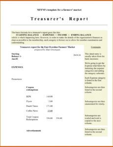 Free Non Profit Treasurer Report Template Excel Example