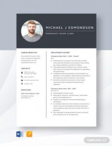 Legal Nurse Consultant Report Template  Sample