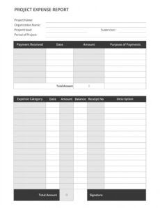 Printable Consultant Expense Report Template