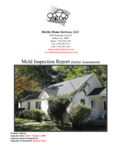 Printable Mold Inspection Report Template Doc Sample