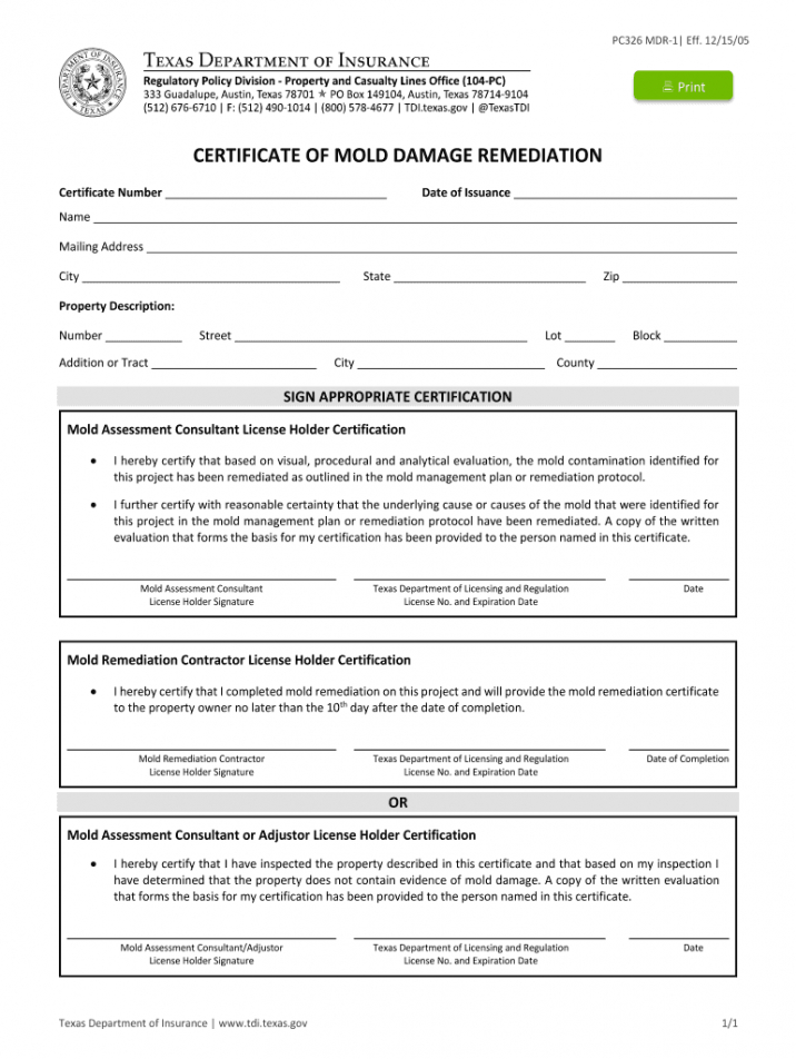 Printable Mold Inspection Report Template Word Sample Stableshvf