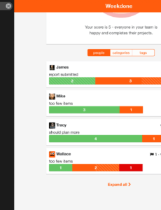 Printable Weekly Employee Status Report Template  Sample