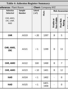 Professional Asbestos Inspection Report Template Excel Sample