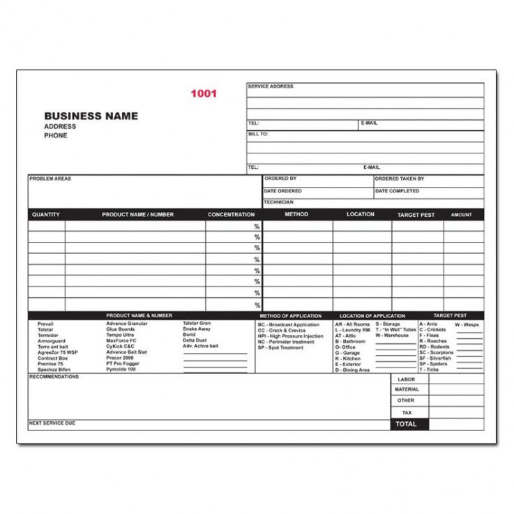 Professional Termite Inspection Report Template  Example