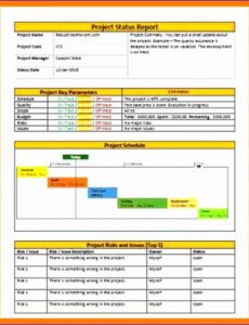 Best Monthly Project Status Report Template Doc Sample