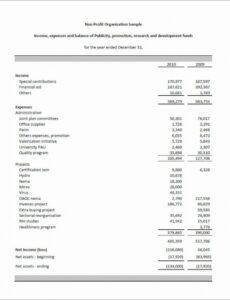 Best Non Profit Monthly Financial Report Template Excel Example