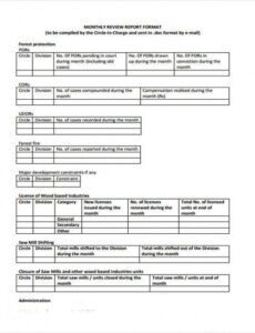 Business Consultant Report Template  Sample