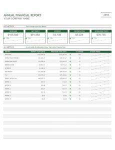 Costum Annual Financial Report Template Word