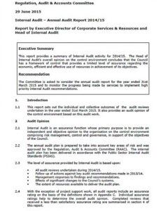 Costum Financial Audit Report Template Pdf Example