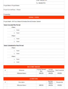 Costum Project Management Status Report Template Doc Example