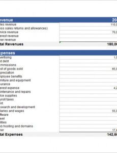 Editable Non Profit Monthly Financial Report Template Doc Sample
