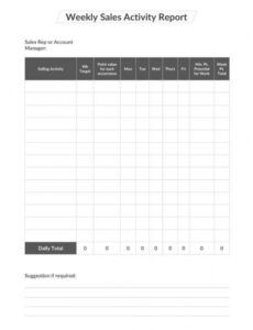Editable Sales Manager Report Template  Example