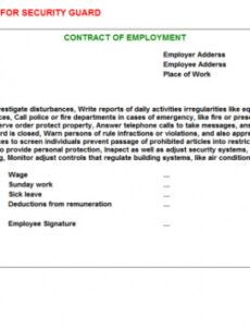 Editable Security Officer Daily Activity Report Template  Example