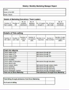 Free Restaurant Daily Sales Report Template  Example