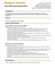 Free Security Officer Daily Activity Report Template Word Sample