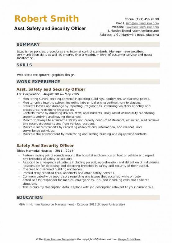 Free Security Officer Daily Activity Report Template Word Sample