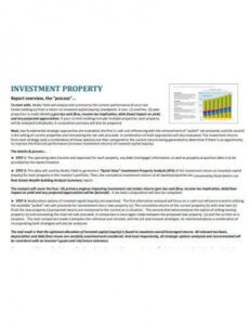 Investment Report Template Excel Example