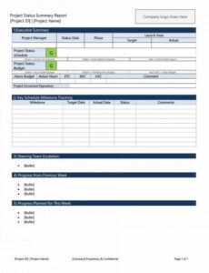 Printable Business Progress Report Template