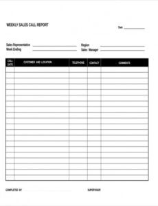 Printable Sales Visit Report Template