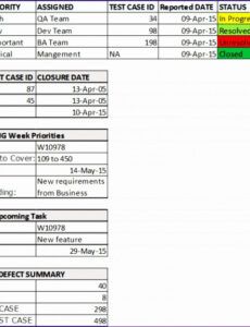 Printable Software Testing Status Report Template  Sample