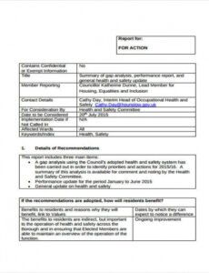 Professional Business Analysis Report Template Doc Sample