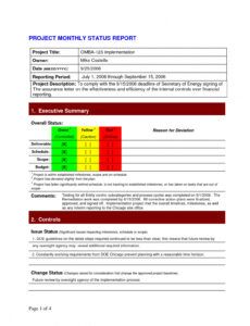 Professional Monthly Project Status Report Template Doc Example