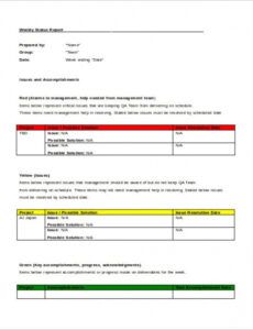 Professional Software Testing Status Report Template Doc Sample