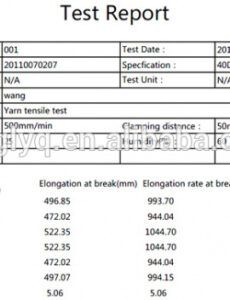 Best Megger Test Report Template  Sample