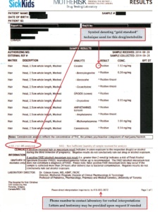 Best Megger Test Report Template Word Example